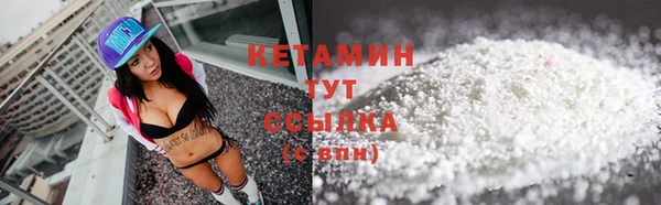 твердый Алексин