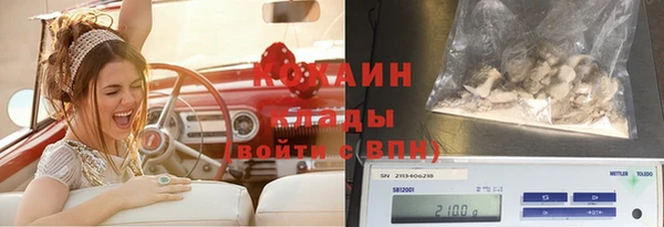 твердый Алексин