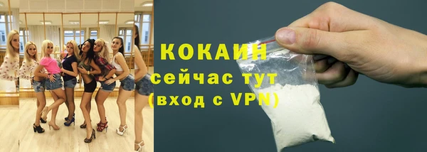 apvp Каменка