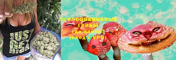 твердый Алексин