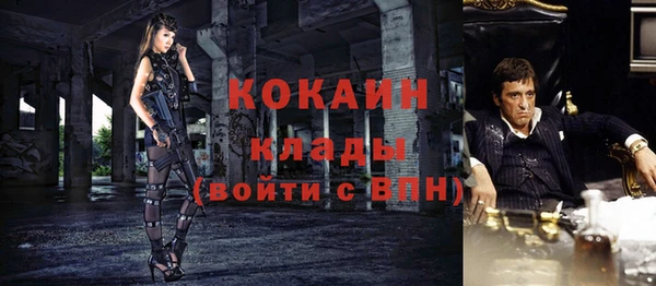 твердый Алексин