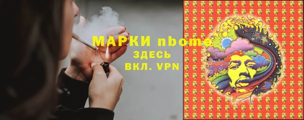 твердый Алексин
